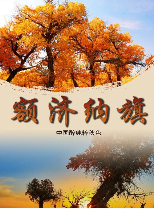 从莫高窟到额济纳 跨越千年的丝路秘境之旅
